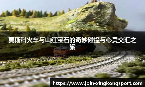 星空体育网站入口